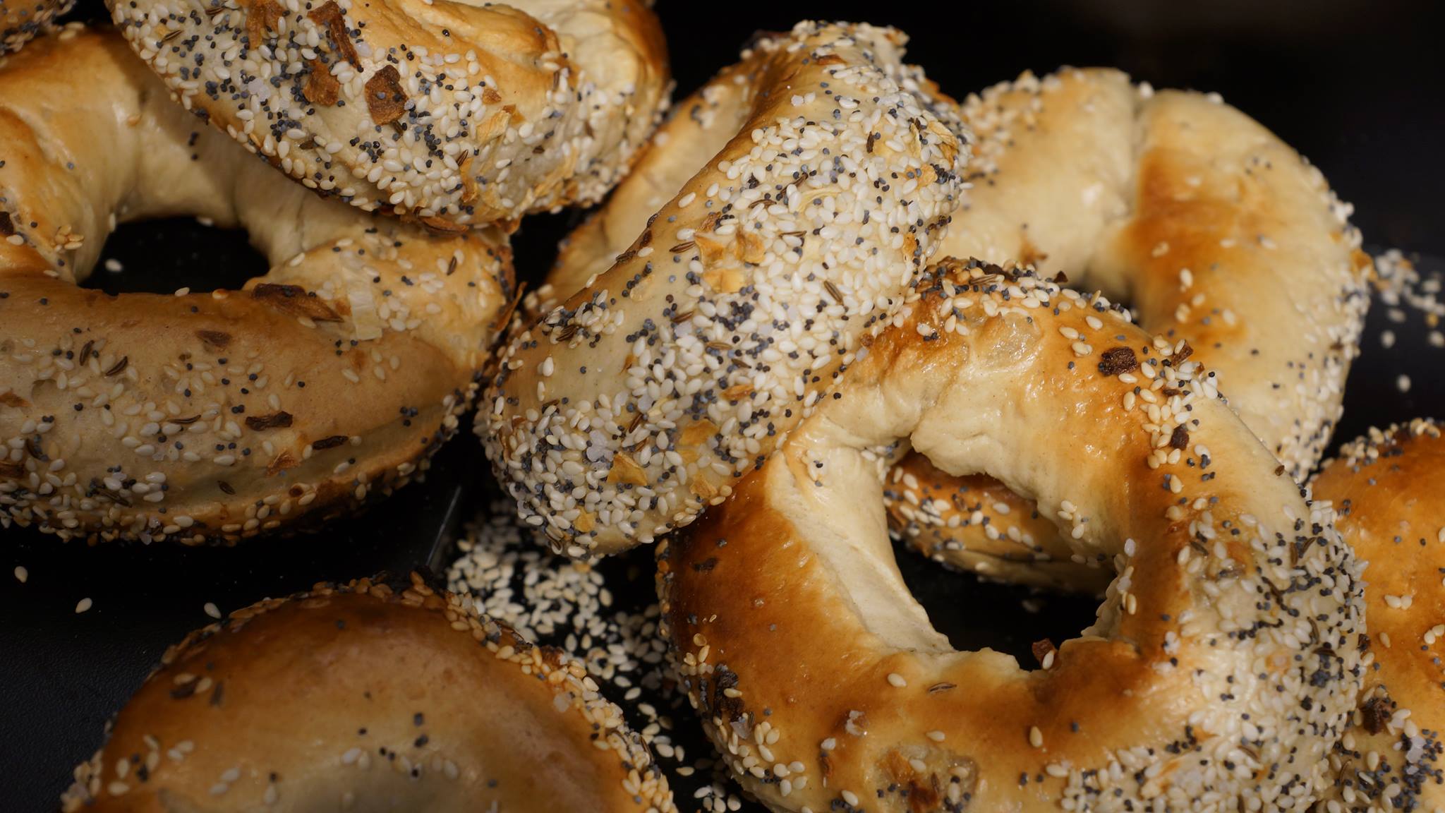 dozen-bagels-oko-bagels